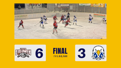 UECLIE_UECLEI_Final_Website