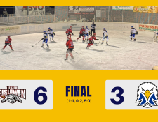 UECLIE_UECLEI_Final_Website